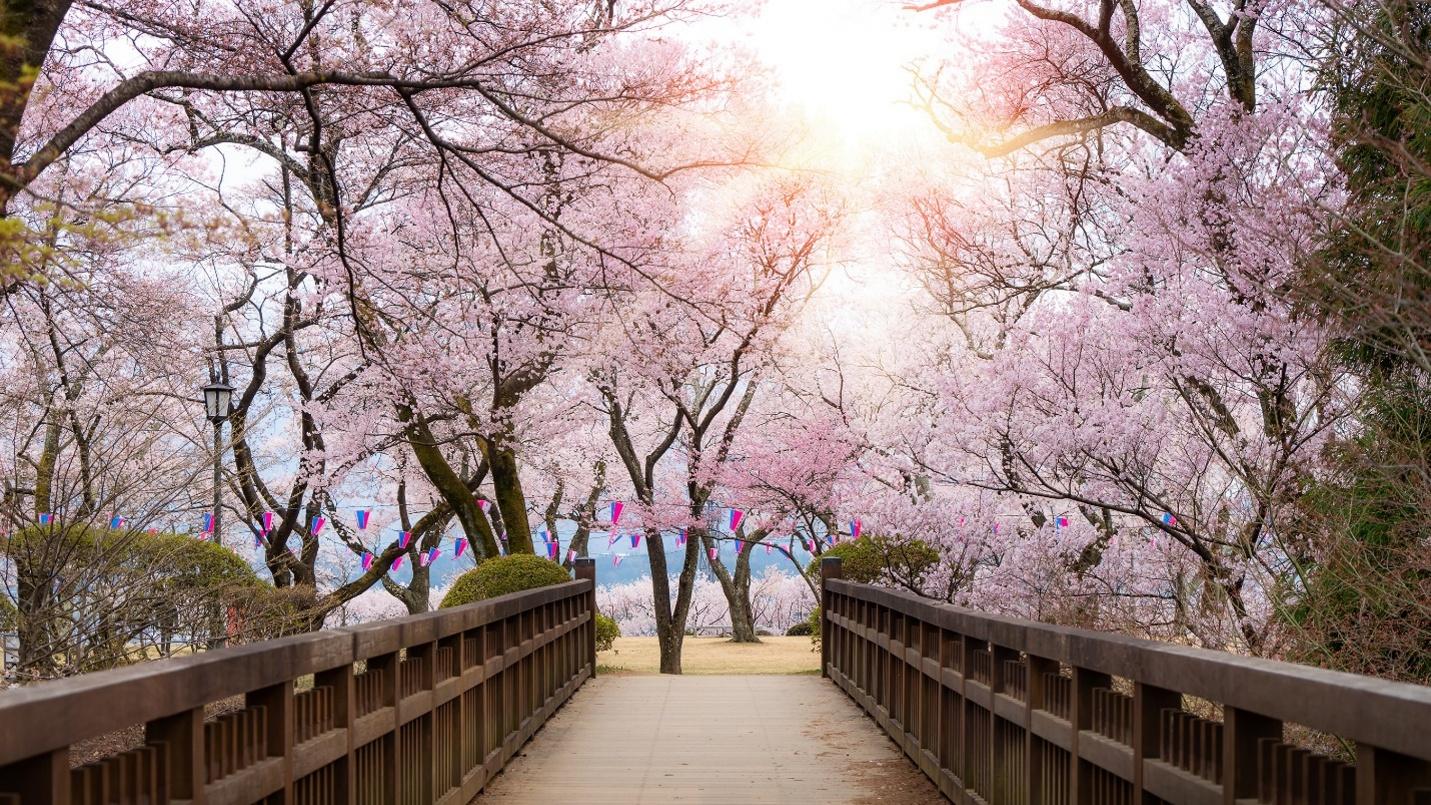 Life Unlimited Holistic Coaching